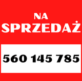 Baner Reklamowy • 9 Banerów 3D dla Twojego Biura + indywidualny projekt i dostawa GRATIS